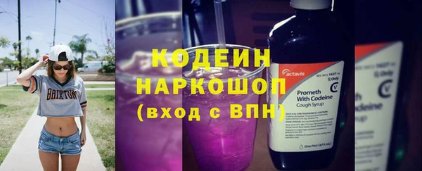 стаф Горняк