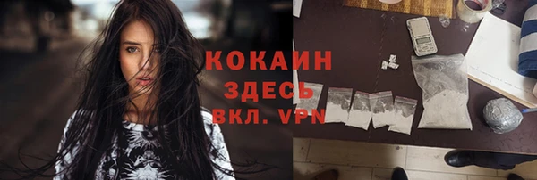 стаф Горняк