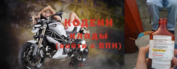 стаф Горняк