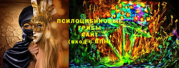 стаф Горняк