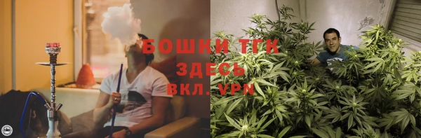 стаф Горняк